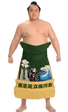 Portrait of the sumo wrestler