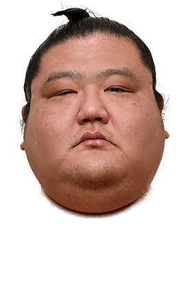 Portrait of the sumo wrestler