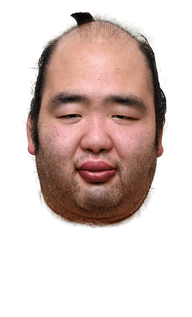 Portrait of the sumo wrestler