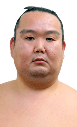 Portrait of the sumo wrestler