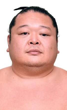 Portrait of the sumo wrestler