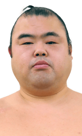 Portrait of the sumo wrestler