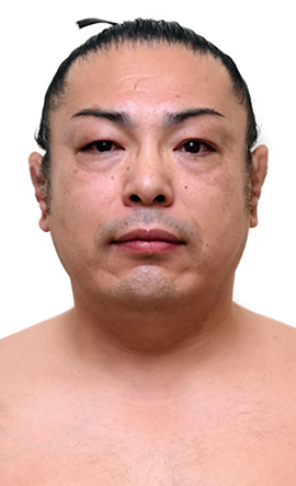 Portrait of the sumo wrestler