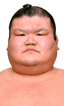 Portrait of the sumo wrestler