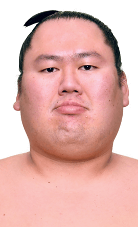 Portrait of the sumo wrestler