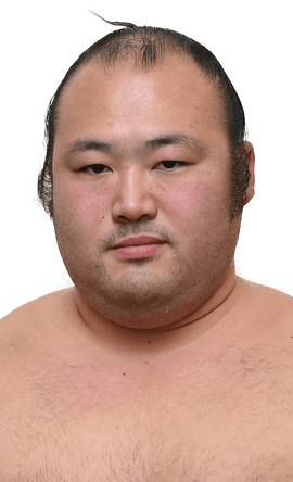 Portrait of the sumo wrestler