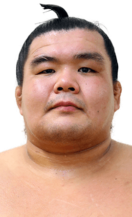 Portrait of the sumo wrestler