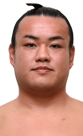 Portrait of the sumo wrestler