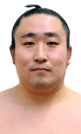 Portrait of the sumo wrestler