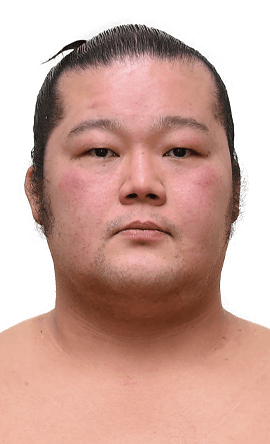 Portrait of the sumo wrestler