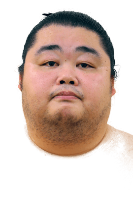 Portrait of the sumo wrestler