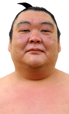 Portrait of the sumo wrestler