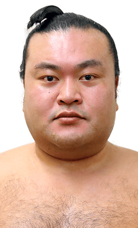 Portrait of the sumo wrestler