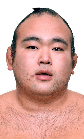 Portrait of the sumo wrestler