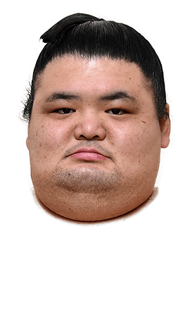 Portrait of the sumo wrestler