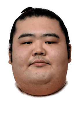 Portrait of the sumo wrestler