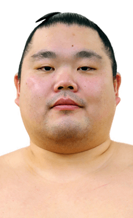 Portrait of the sumo wrestler