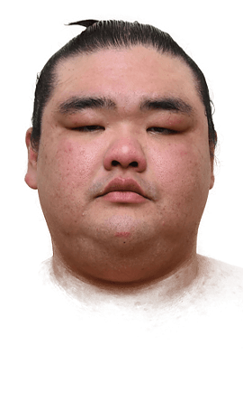 Portrait of the sumo wrestler