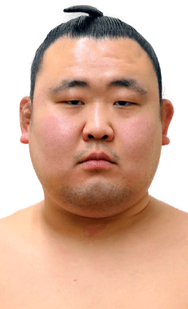 Portrait of the sumo wrestler