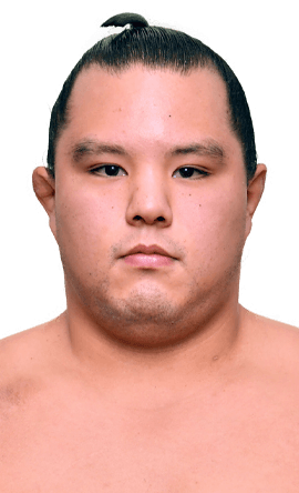 Portrait of the sumo wrestler