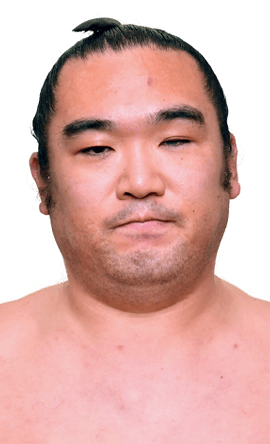 Portrait of the sumo wrestler