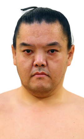 Portrait of the sumo wrestler