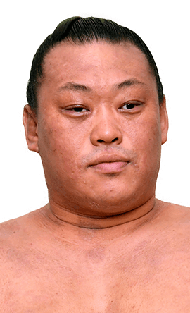 Portrait of the sumo wrestler