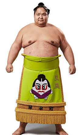 Portrait of the sumo wrestler