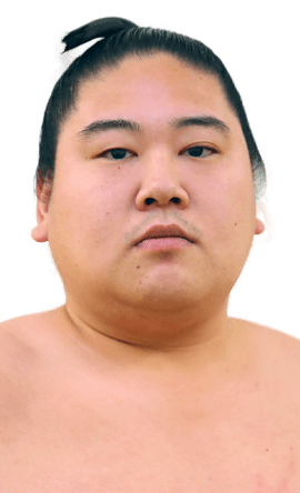 Portrait of the sumo wrestler