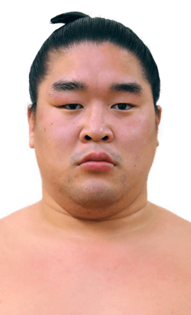 Portrait of the sumo wrestler