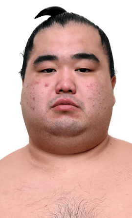 Portrait of the sumo wrestler