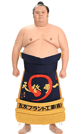 Portrait of the sumo wrestler