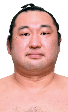 Portrait of the sumo wrestler