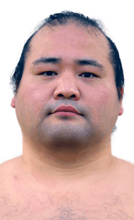 Portrait of the sumo wrestler