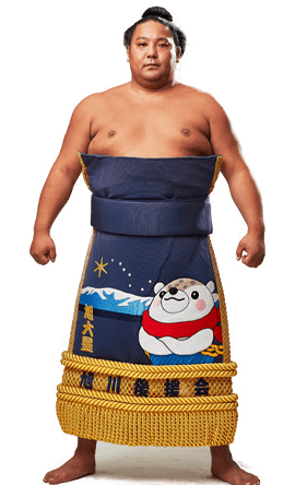 Portrait of the sumo wrestler