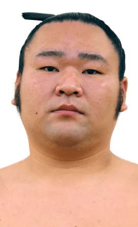 Portrait of the sumo wrestler