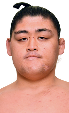 Portrait of the sumo wrestler