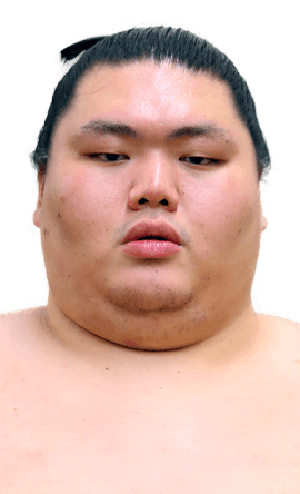 Portrait of the sumo wrestler