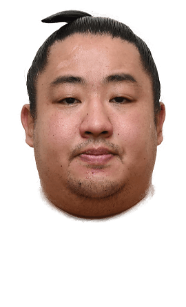 Portrait of the sumo wrestler