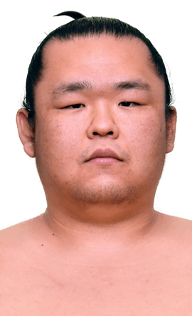 Portrait of the sumo wrestler