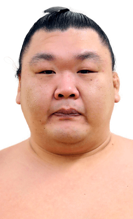 Portrait of the sumo wrestler